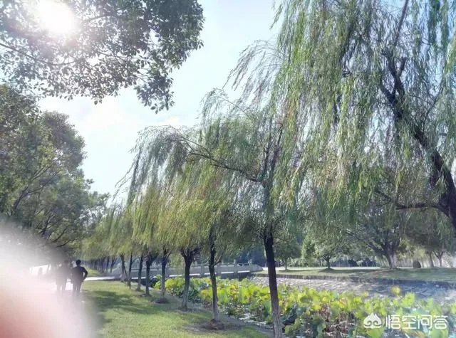 江西中医药大学穷吗