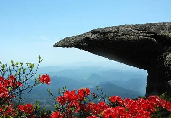 福建7地入选“中国森林氧吧”，分别是哪7个？