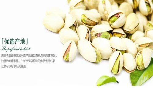 开心果产地是哪 开心果的生长习性