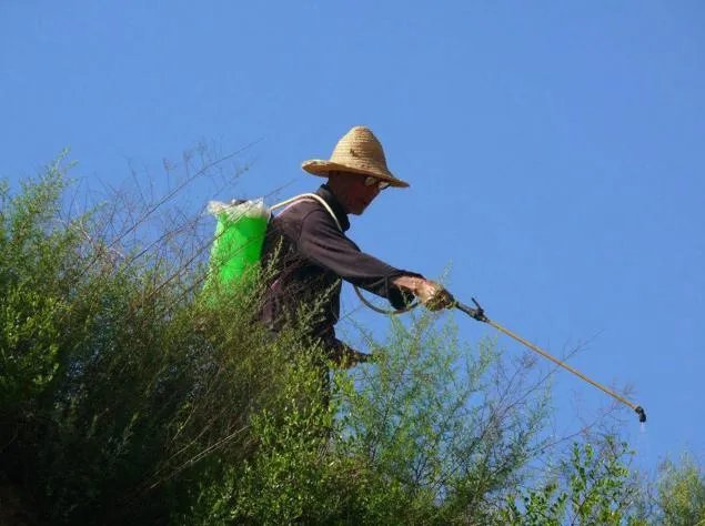 美国禁用草甘膦，大家怎么看待这个事情？