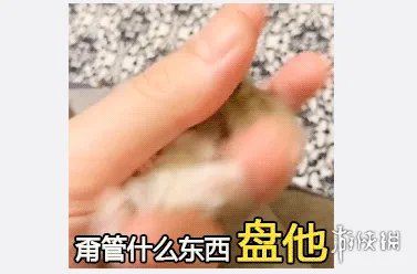 盘他是什么意思 抖音盘他的来源出处介绍