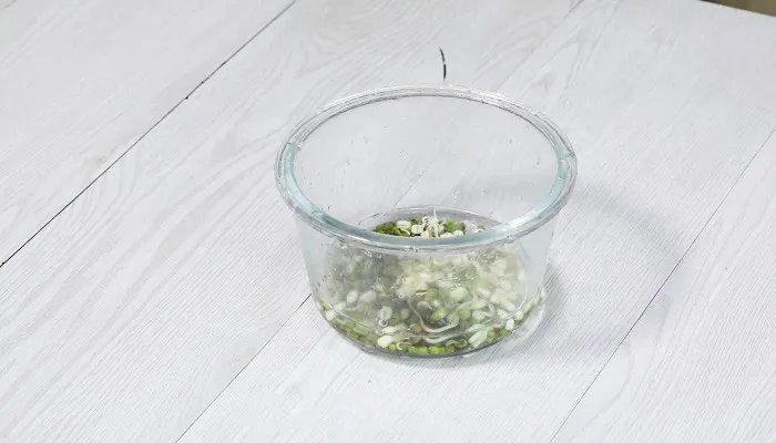 怎么发绿豆芽 自己发绿豆芽