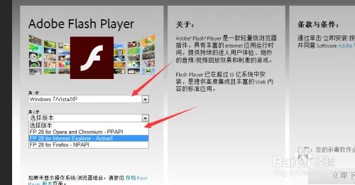 Adobe Flash Player 官方下载方法