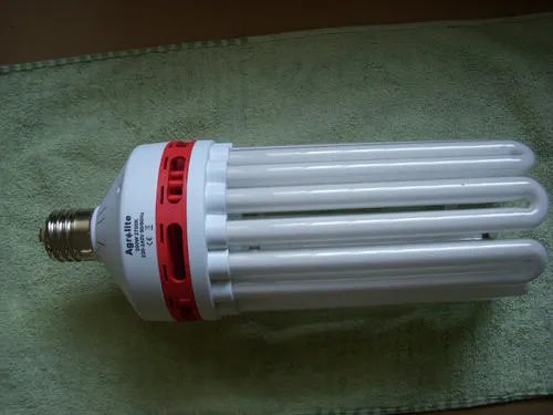 节能灯泡品牌有哪些