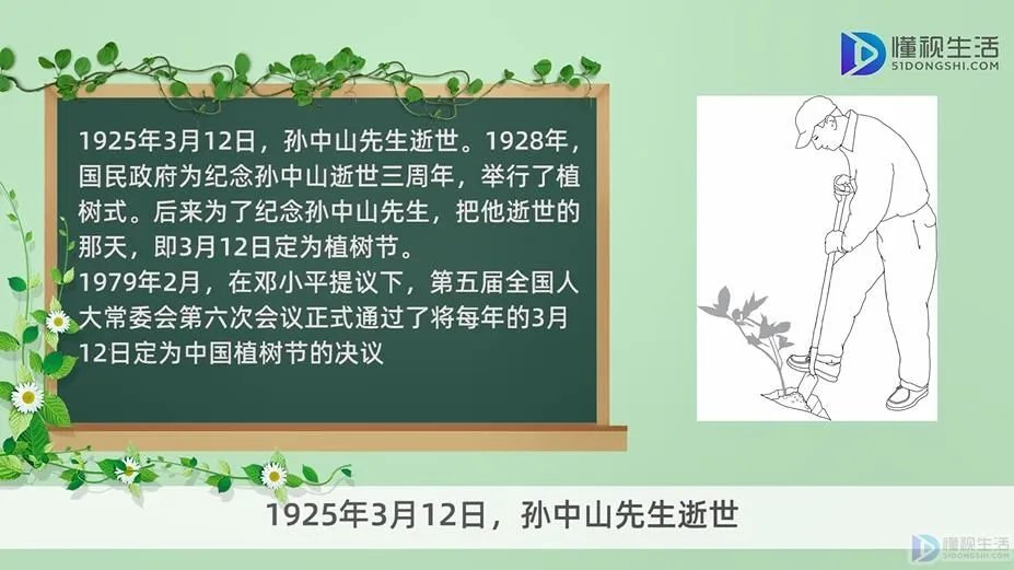 3.12植树节的由来