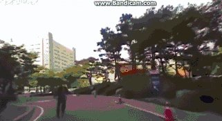 碰瓷失败被压死