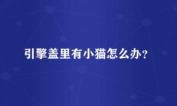 引擎盖里有小猫怎么办？