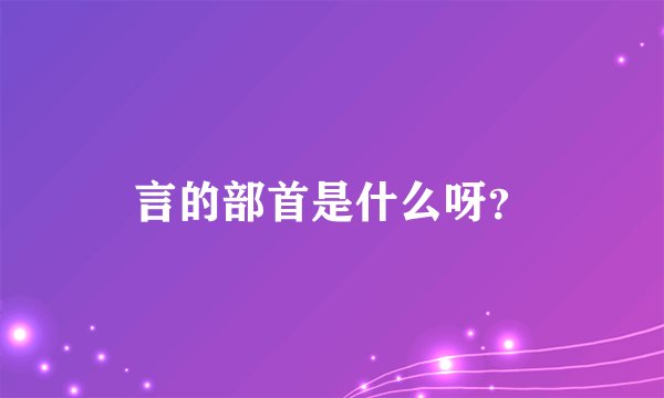 言的部首是什么呀？