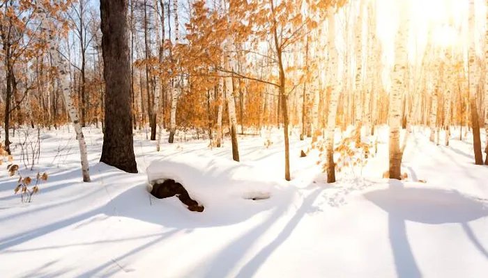 双峰拉尼娜年是什么意思 为什么叫双峰拉尼娜年