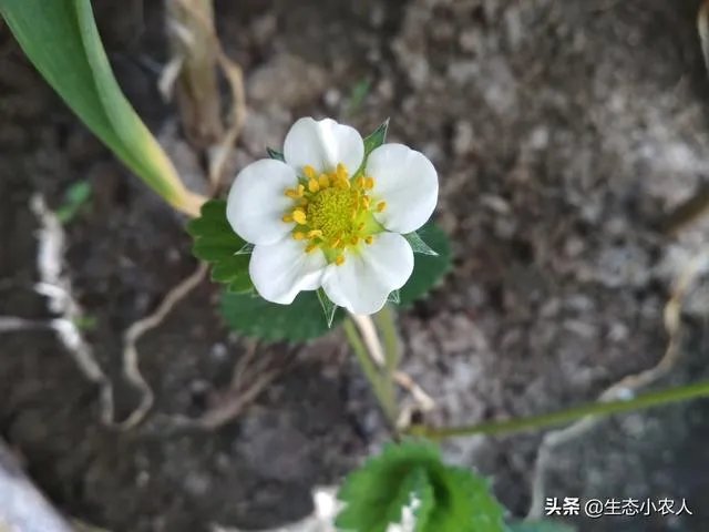 农产品批发市场对管理人员应该怎样？