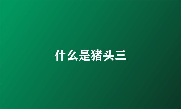 什么是猪头三