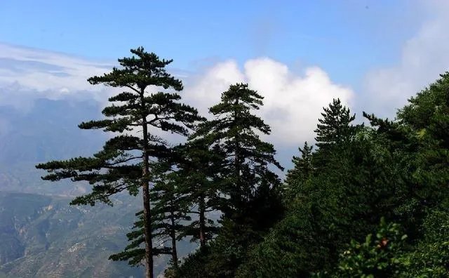 山西恒山好在哪？