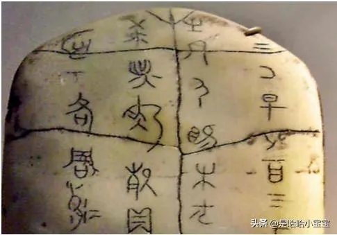 甲骨文是写在什么上？
