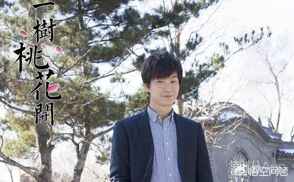 电视剧《一树桃花开》，相比盛开，为啥狄英最后能治服罗耀辉母？