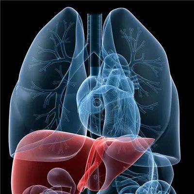 小肝癌的早期症状?