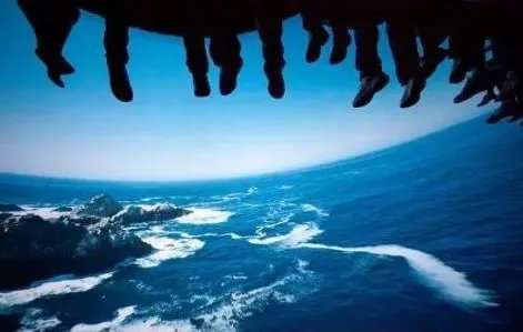 上海迪士尼故障事件的介绍