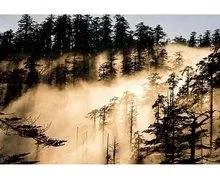 瓦屋山的门票是多少?