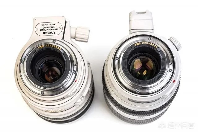 佳能100-400镜头适合拍什么?