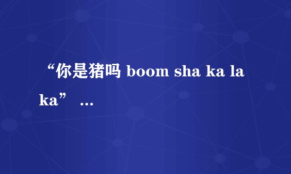 “你是猪吗 boom sha ka la ka” 这句话是什么意思