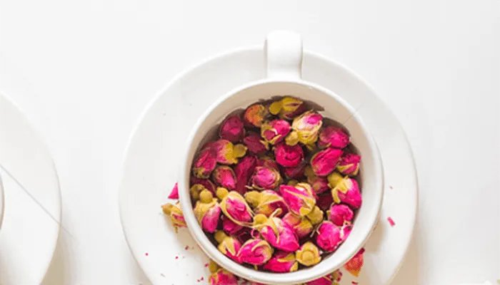 一月开什么花 一月有什么花开