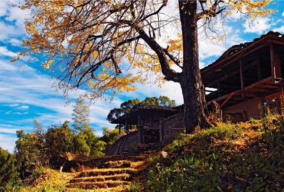 福建7地入选“中国森林氧吧”，分别是哪7个？