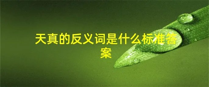 天真的反义词是什么标准答案