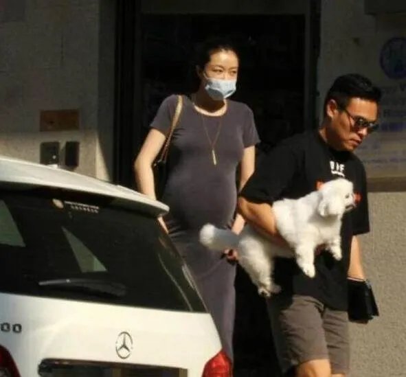 熊黛林怀双胞胎女是真的吗?