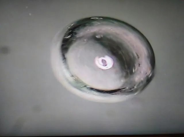 恒星的一生是怎样的?