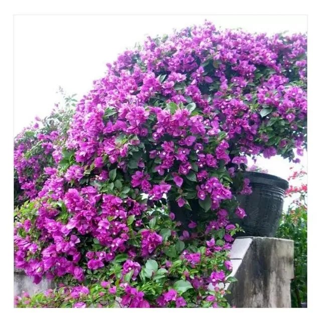 每天都开心不起来怎么办？