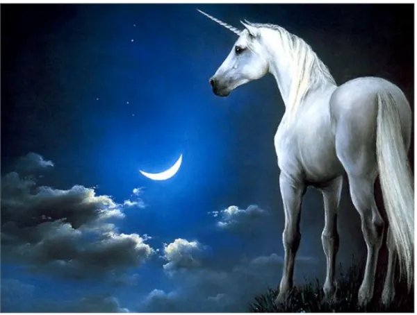 独角兽概念股股票是什么意思