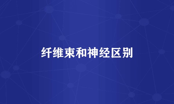 纤维束和神经区别