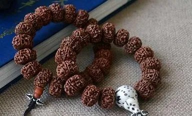 菩提子的种类及各种形态和功效