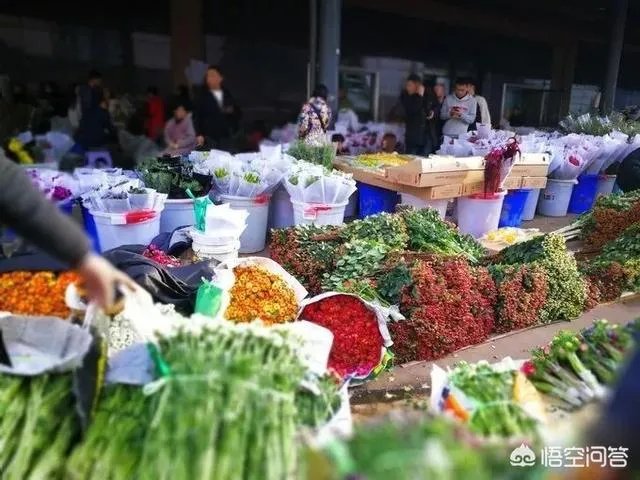 云南有哪些大的鲜花市场？