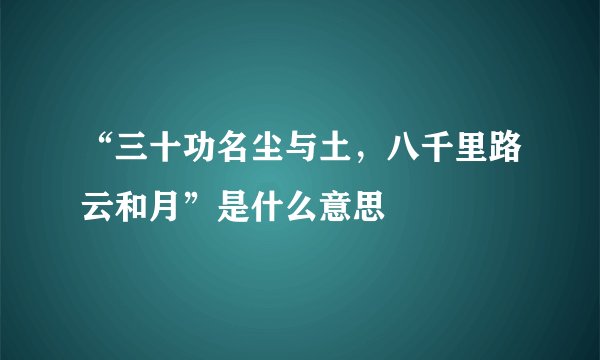 “三十功名尘与土，八千里路云和月”是什么意思