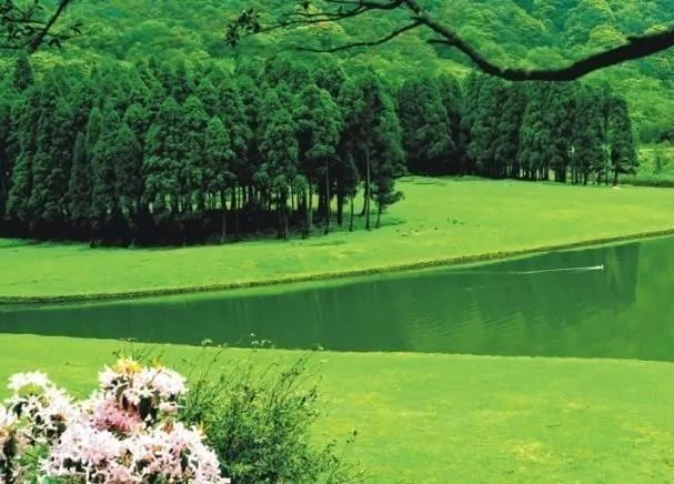 你觉得玉林这座城市怎么样？