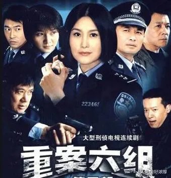 警察破案片电视剧大全