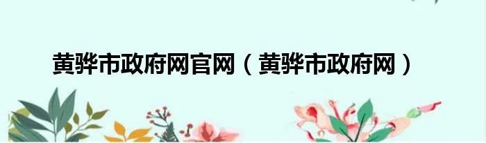 黄骅市政府网官网（黄骅市政府网）