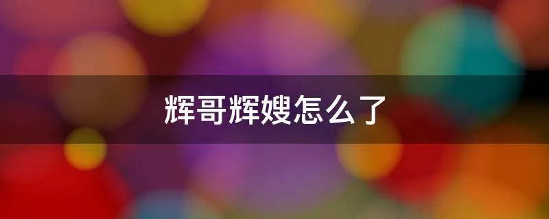 辉哥辉嫂怎么了