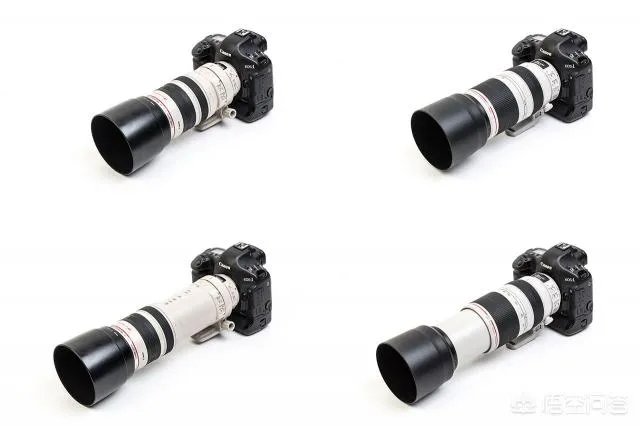 佳能100-400镜头适合拍什么?