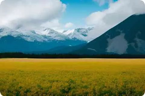 上海地铁如何收费