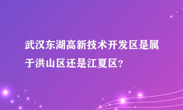 武汉东湖高新技术开发区是属于洪山区还是江夏区？