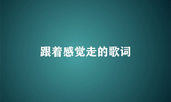 跟着感觉走的歌词