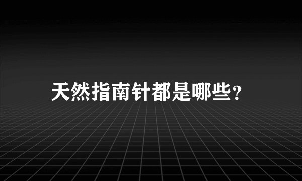 天然指南针都是哪些？