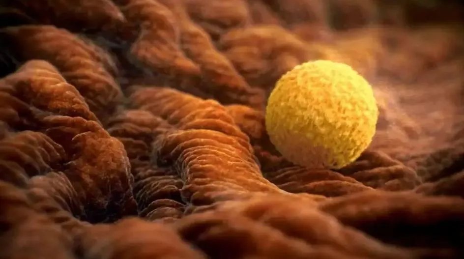 助孕试管-北京佳恩德云医院院长王朝辉：经典试管婴儿助孕常见问题（上）