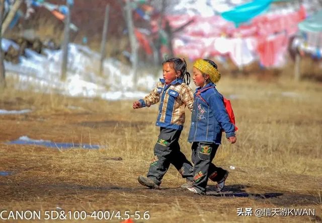 佳能100-400镜头适合拍什么?