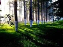 吉林省延吉市有几个区?