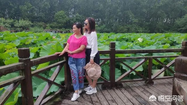 合肥滨湖国家湿地森林公园，好不好玩呢？