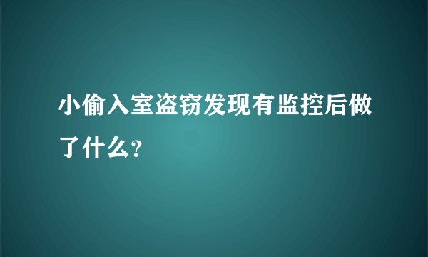 小偷入室盗窃发现有监控后做了什么？