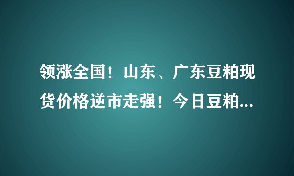 领涨全国！山东、广东豆粕现货价格逆市走强！今日豆粕价格已更新