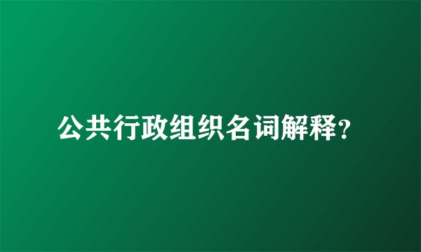 公共行政组织名词解释？